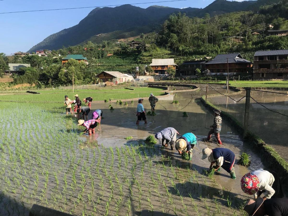 Little Ta Van Homestay Sapa Exterior foto